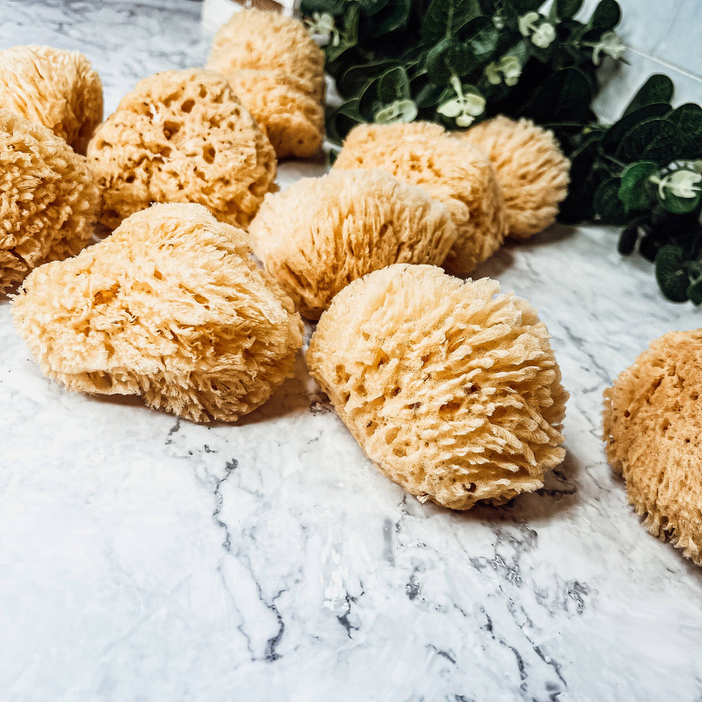 Natural Sea Sponge for Bath, 4–5 Inches