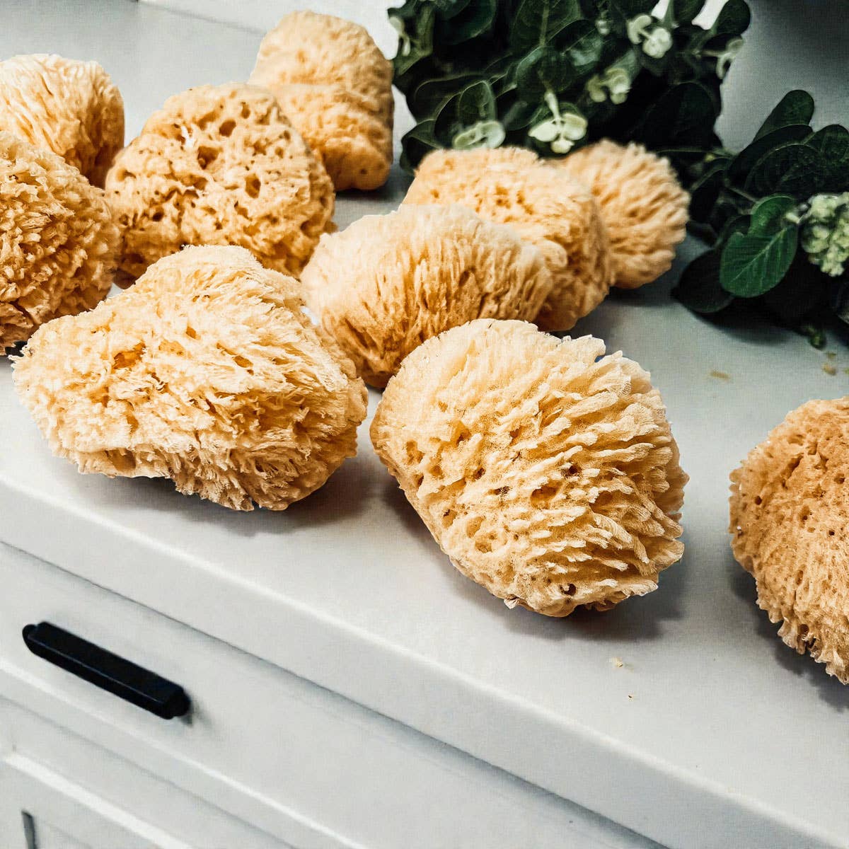 Natural Sea Sponge for Bath, 4–5 Inches