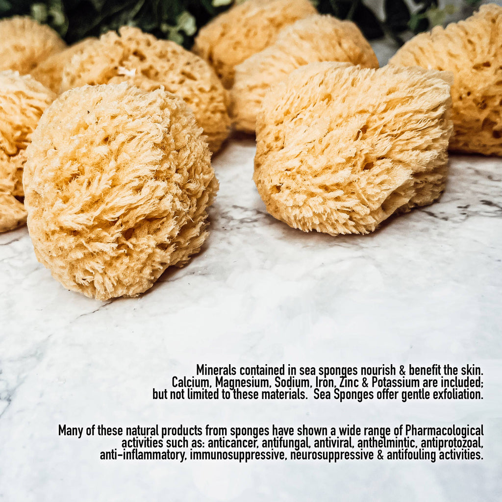 Natural Sea Sponge for Bath, 4–5 Inches