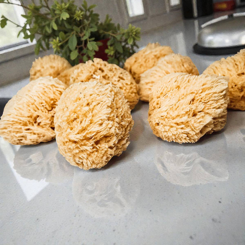 Natural Sea Sponge for Bath, 4–5 Inches