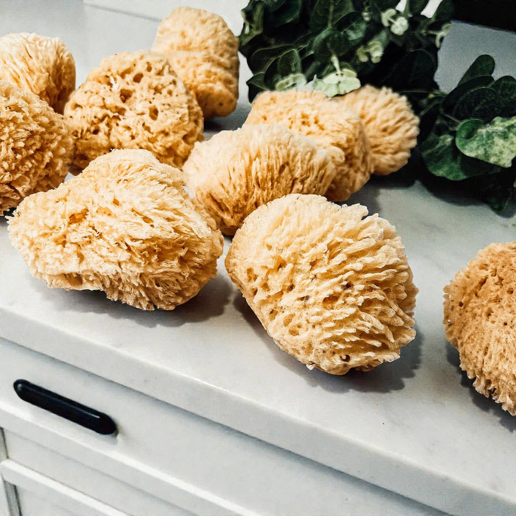 Natural Sea Sponge for Bath, 4–5 Inches