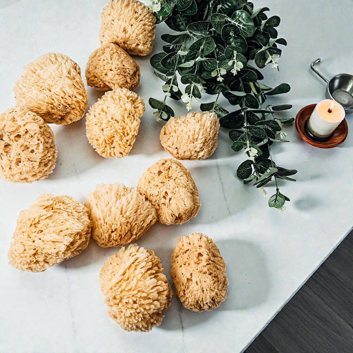 Natural Sea Sponge for Bath, 4–5 Inches