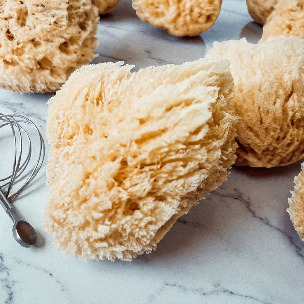 Natural Sea Sponge for Bath, 4–5 Inches