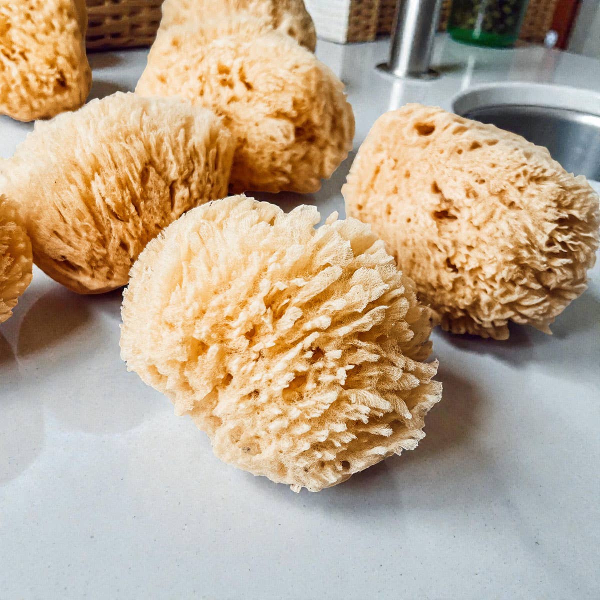 Natural Sea Sponge for Bath, 4–5 Inches