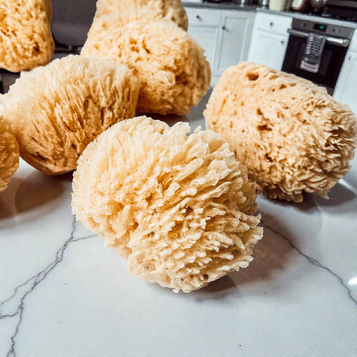 Natural Sea Sponge for Bath, 4–5 Inches