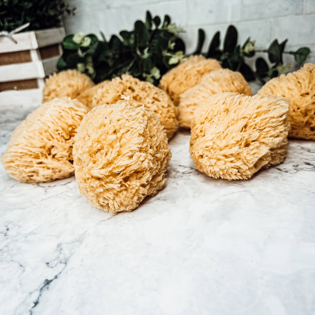 Natural Sea Sponge for Bath, 4–5 Inches