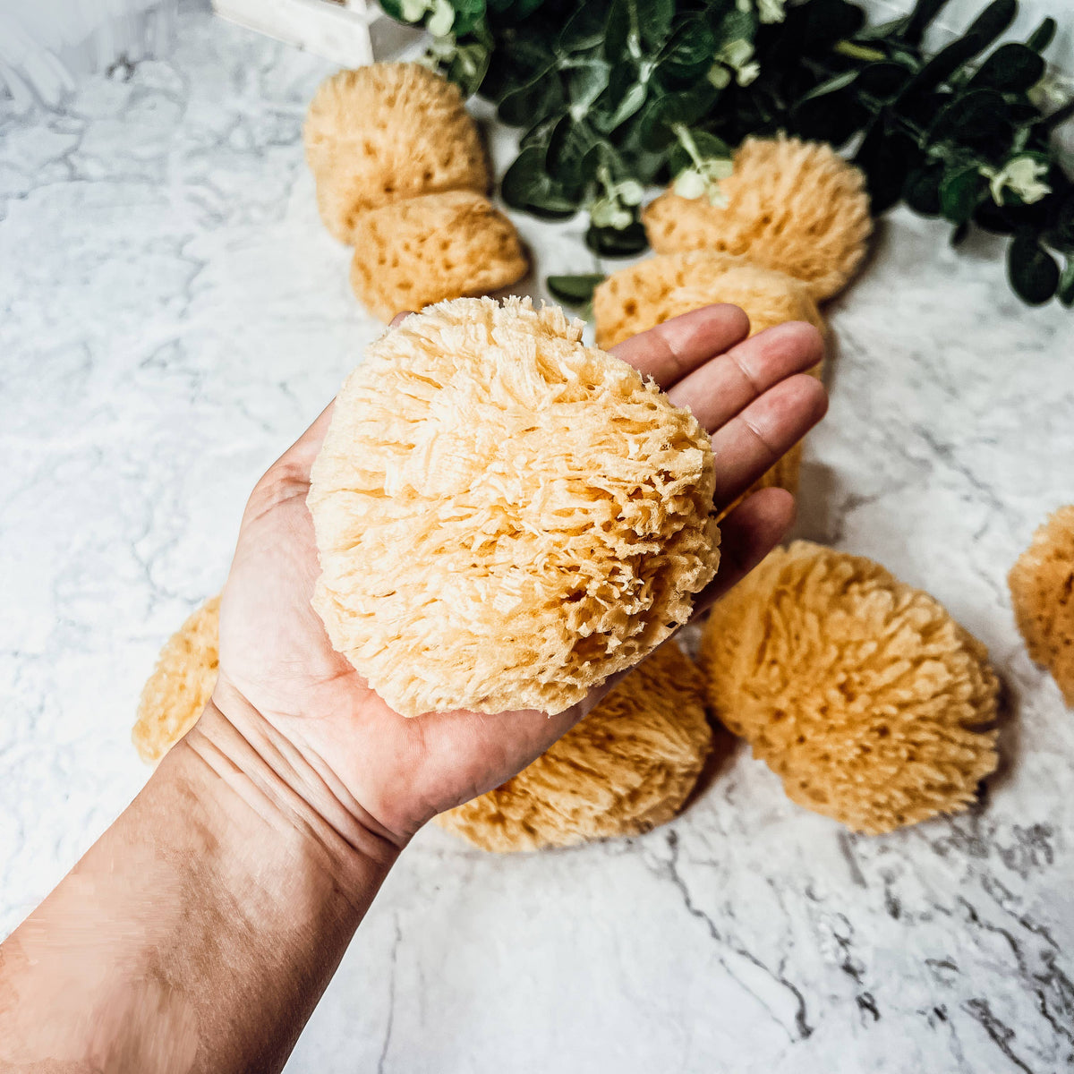Natural Sea Sponge for Bath, 4–5 Inches